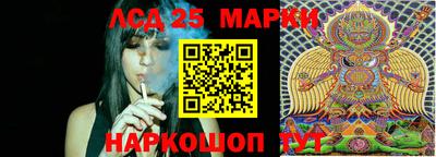 стаф Будённовск