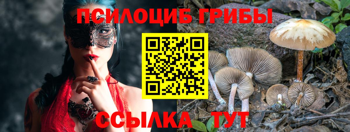 Хабаровск  Галлюциногенные грибы Magic Shrooms  Вход с VPN  Псилоцибиновые грибы MAGIC MUSHROOMS 